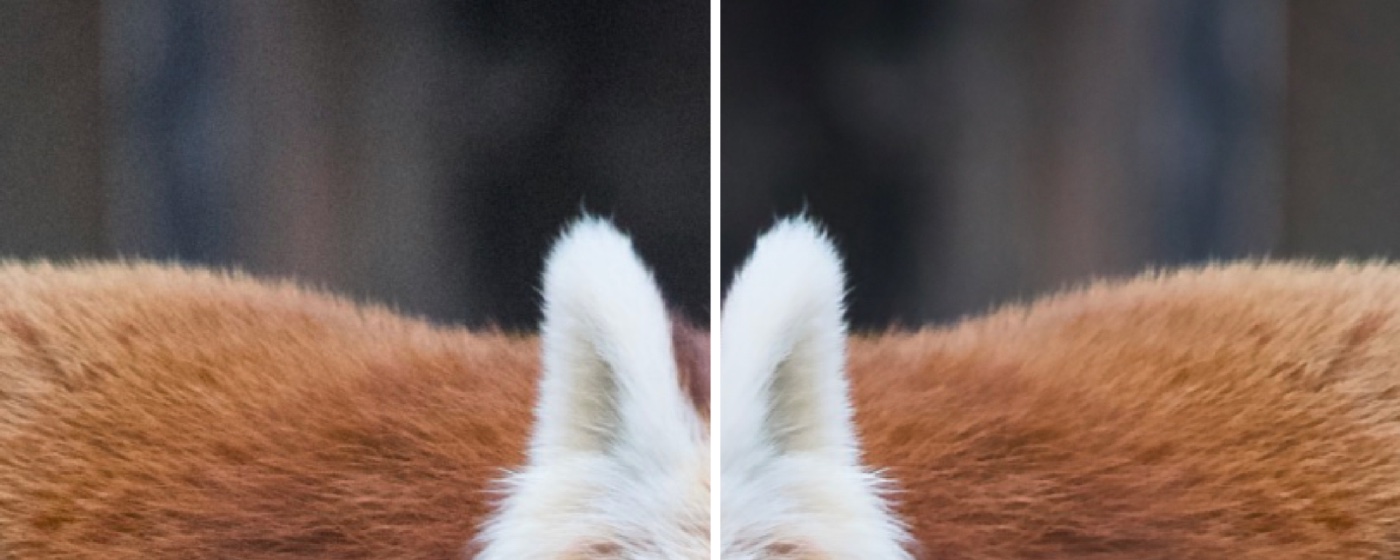 Bildausschnitt mit und ohne Rauschen