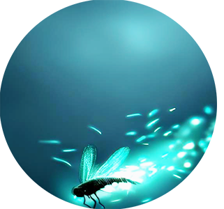 Icon zum Thema: Adobe Firefly - KI Funktionen